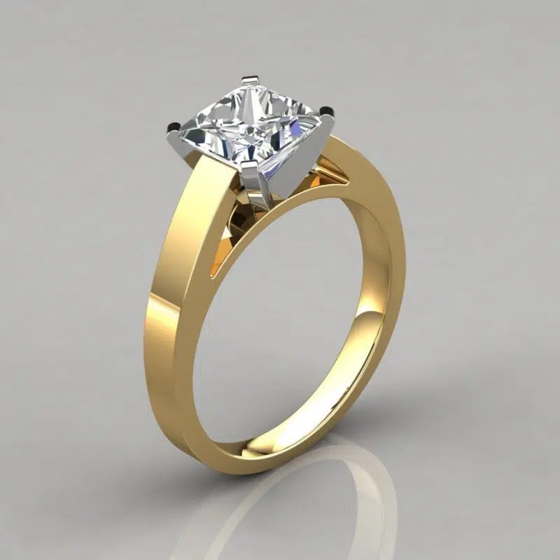 Flat Edged Solitaire Cathedral Style Moissanite Engagement Ring