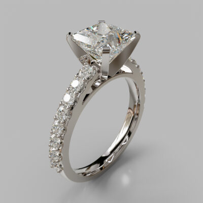 Princess Cut Cathedral Style Moissanite Engagement Ring