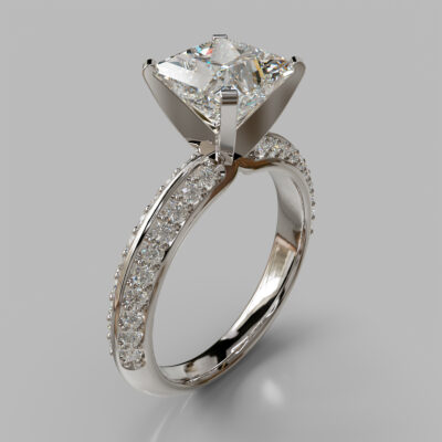 Two Sided Princess Cut Moissanite Engagement Ring