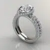 Halo Cathedral Pear Cut Moissanite Bridal Set
